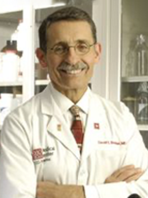 David E Schuller